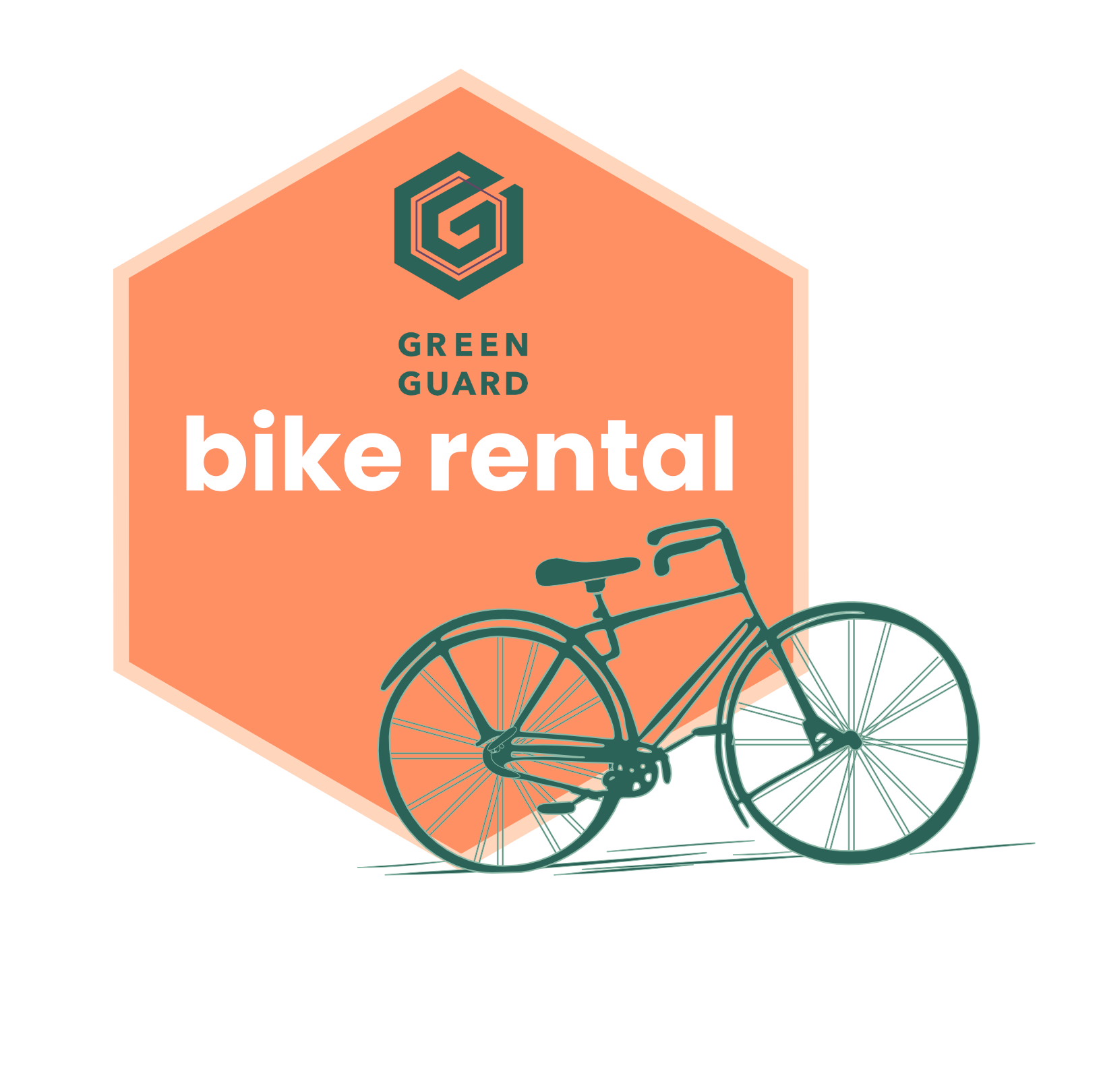 bike rental_solo2